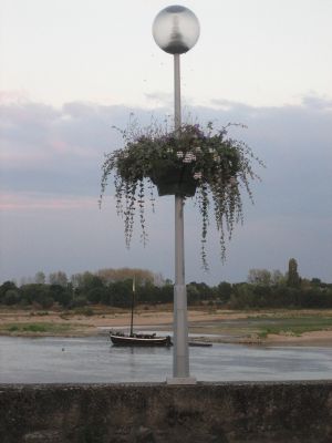 Ancenis