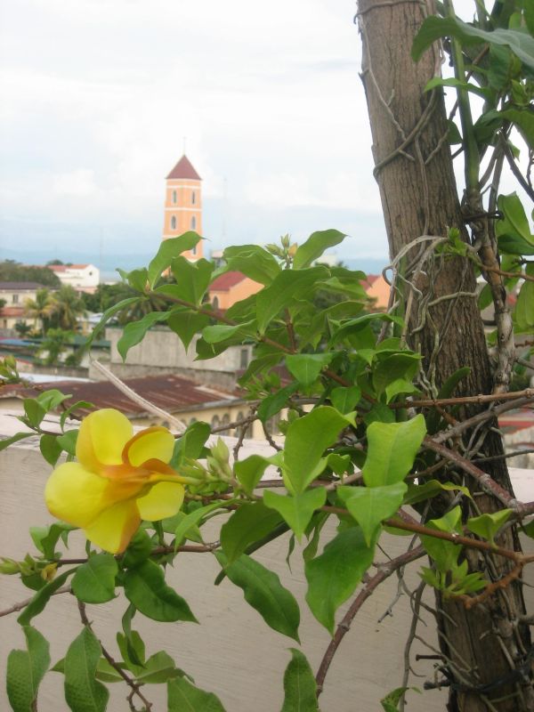 A view of Tacloban City